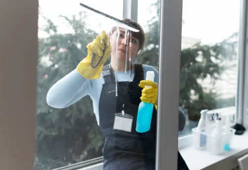 Nettoyage de vitres intérieures et extérieures à Nonglard